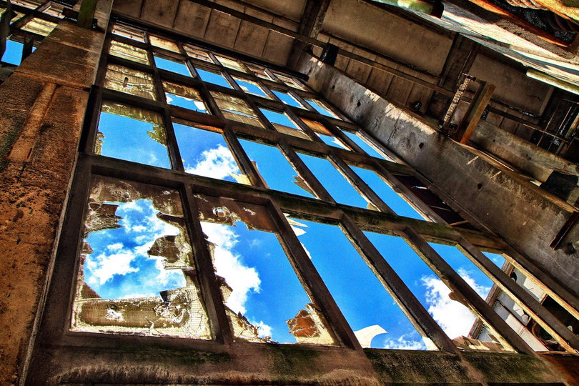 Fensterfront der Produktionshalle