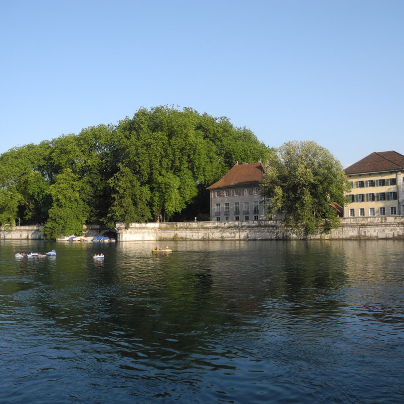Gute essen Solothurn
