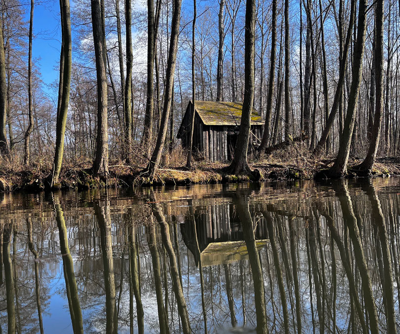 Drehort Spreewaldkrimi Themen-Kahnfahrt Burg Spreewald