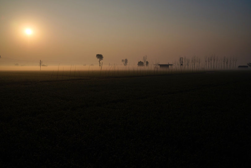 Der Morgen in Nangal Sohal