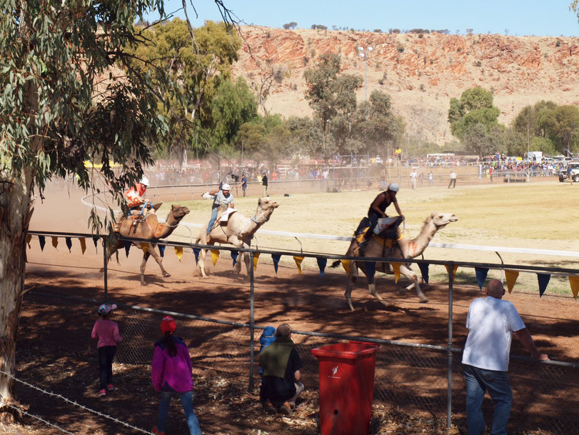 Kamelrennen, Alice Springs