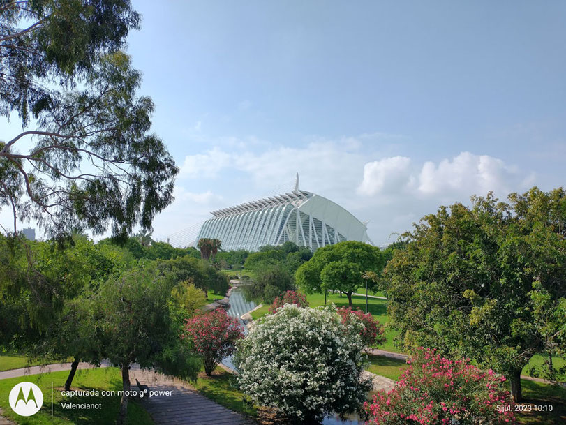 Museo Príncipe Felipe, en la Ciudad de las Artes y de las Ciencias “Jardines del Turia  en  Valencia Ciudad”.