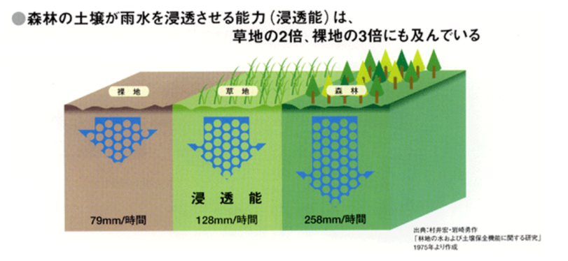 林野庁：植林の洪水緩和機能について