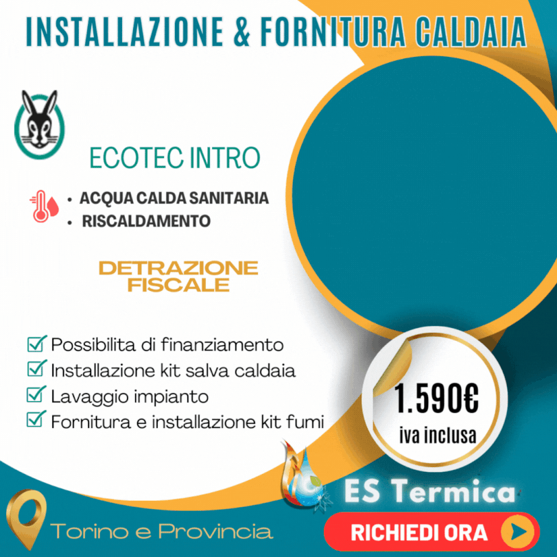 Cladaie a Torino installazione cladaia vaillant a Torino