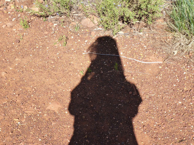 Chp-1-Uluru et Watarrka - la "terre rouge"