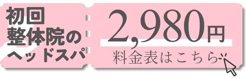 初回限定2,980円　料金表はこちら