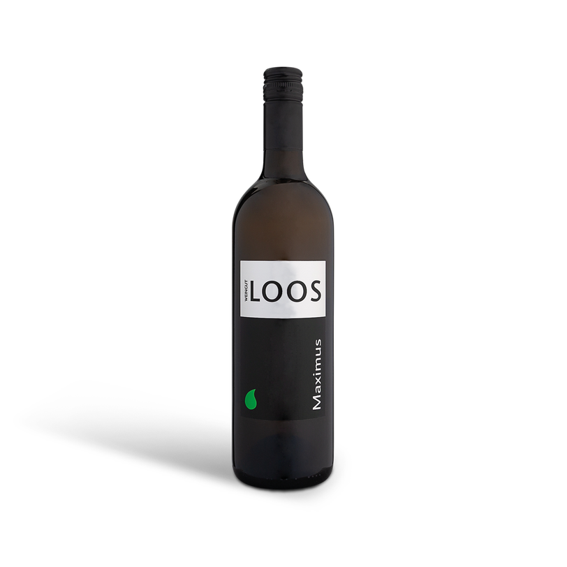 Chardonnay Maximus vom Weingut LOOS aus Apetlon