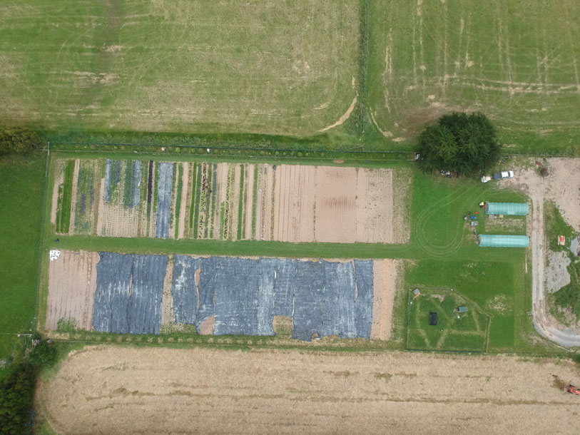 Straw Hat Gardens from above - the JM Fortier system's features are quite visible there!