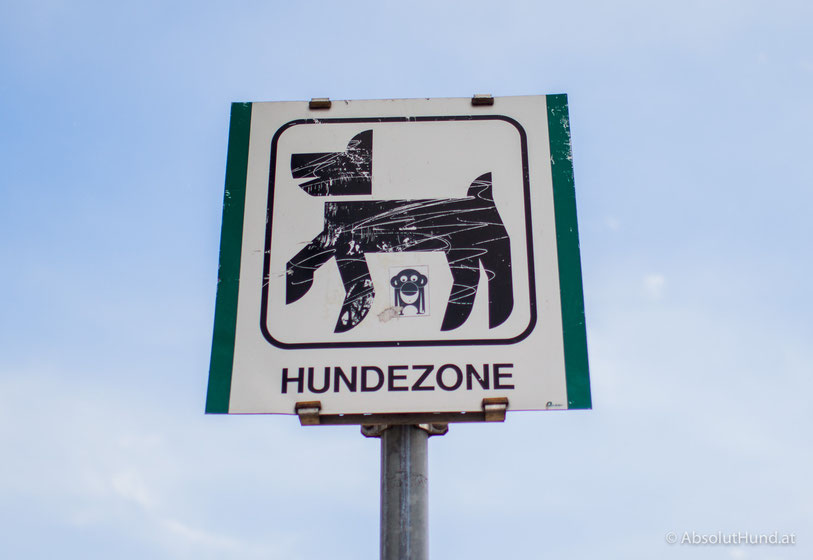 Pollux & Coco unterwegs Hundezone Edelsinnstraße, 1120 Wien