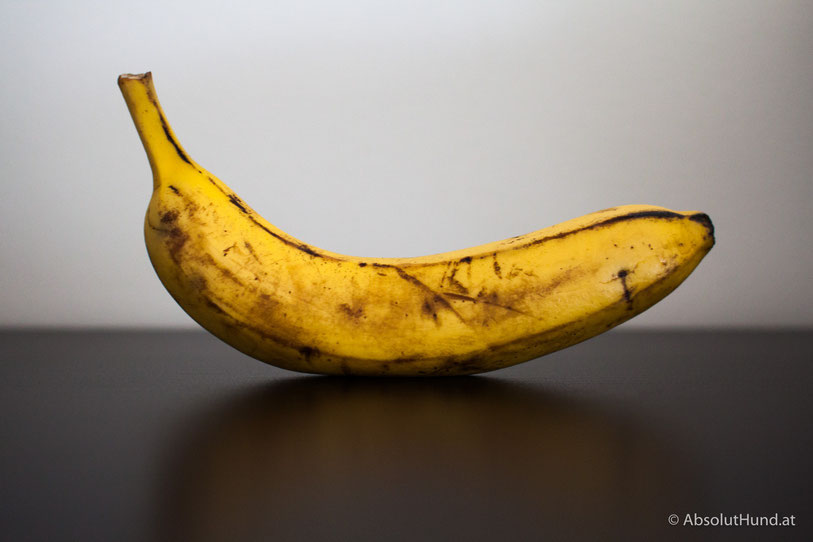Meine Hunde lieben Bananen - AbsolutHund.at