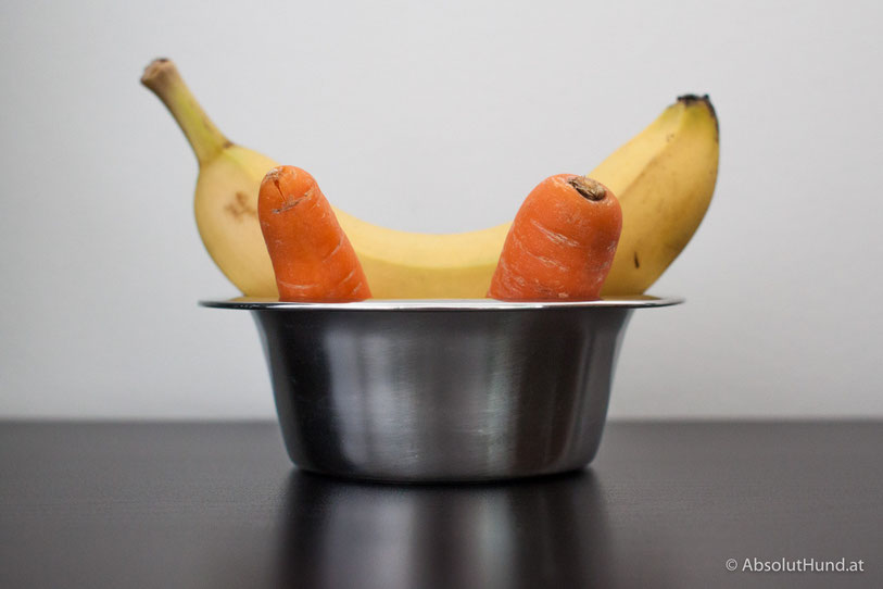 Der vegane Hund - AbsolutHund.at
