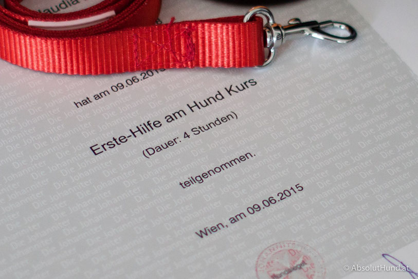 Notfall Urlaub mit Hund... Erste Hilfe - AbsolutHund.at
