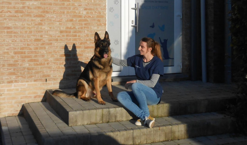 Site de veterinairesimkova !