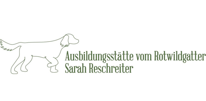 Langhaar vom Rotwildgatter, Rotwildgatter, Dackel, Langhaardackel, Deutsch-Langhaar, Deutschlanghaar, Züchter, Welpen, Hunde, Öberösterreich, Braunau, Uttendorf, Jagdhund, Sarah, Reschreiter, OÖ