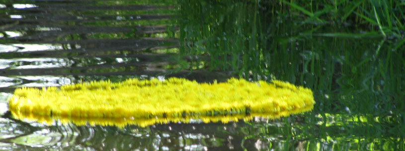 Butterblumenschiff