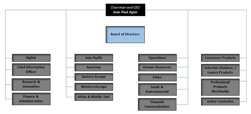 L Oreal Organizational Chart