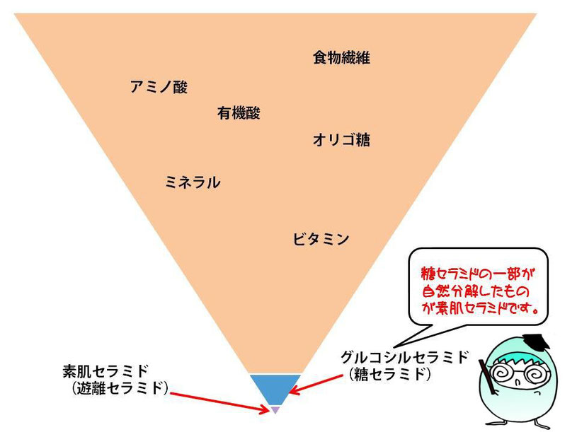 焼酎もろみのセラミド