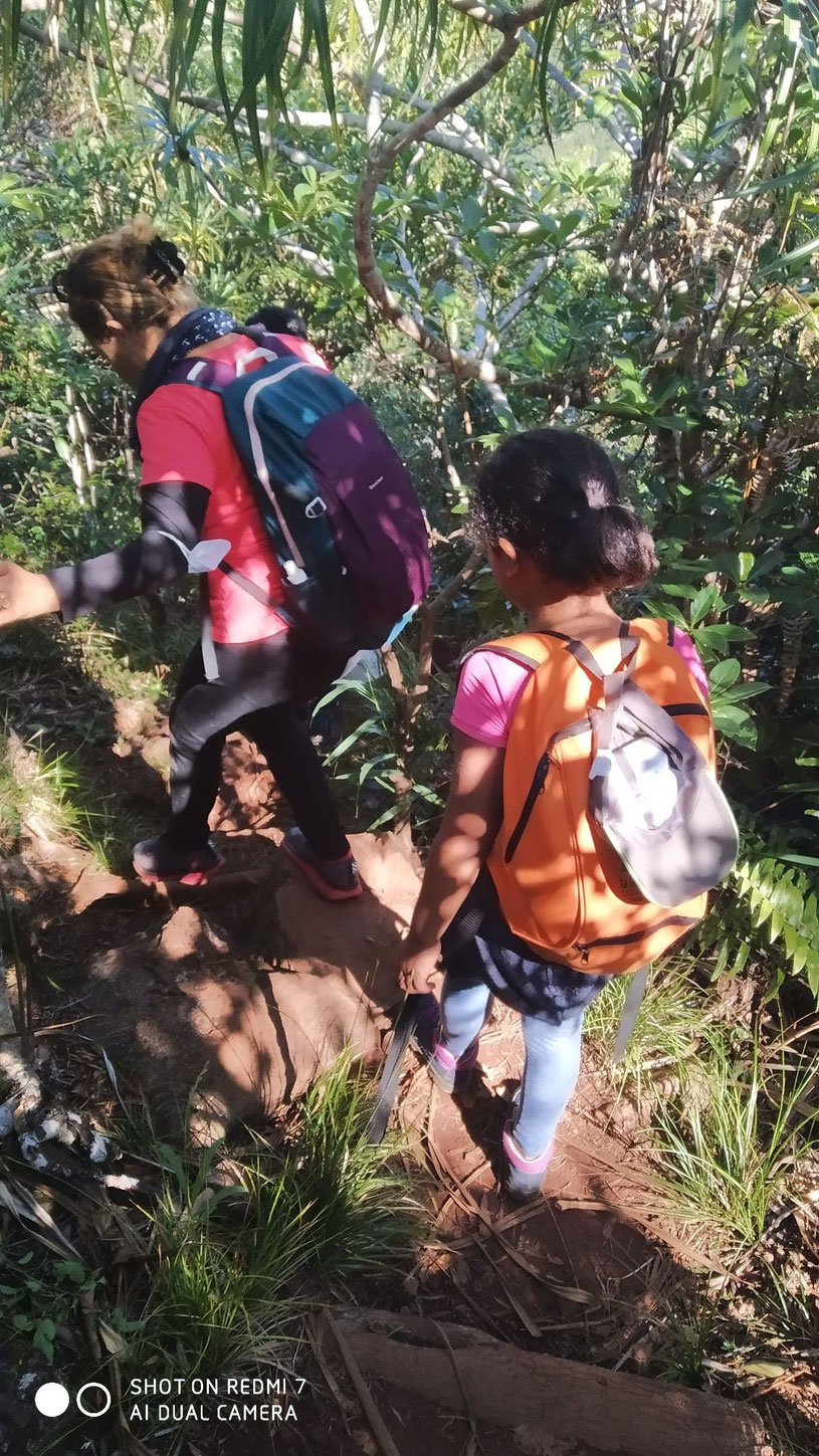 La Réunion: Petite famille en rando dans la forêt