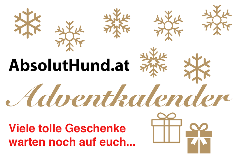 Adventskalender AbsolutHund.at