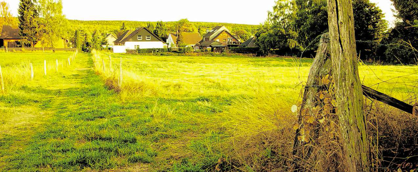Foto: L. Flink