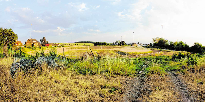 Foto: L. Lange