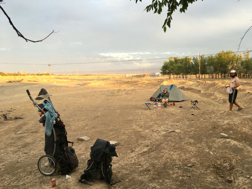 Camp in the evening at the edge of a tree farm.