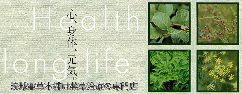 琉球薬草本舗は薬草治療の専門店