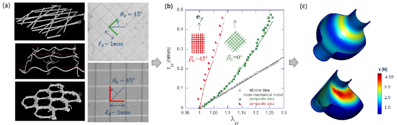 Recent works by the French group (a) in material design of soft fibrous composites (X-ray tomography and optical imaging); (b, c) in theoretical and numerical predictions on their multiscale mechanics, applied in vascular biomechanics here.