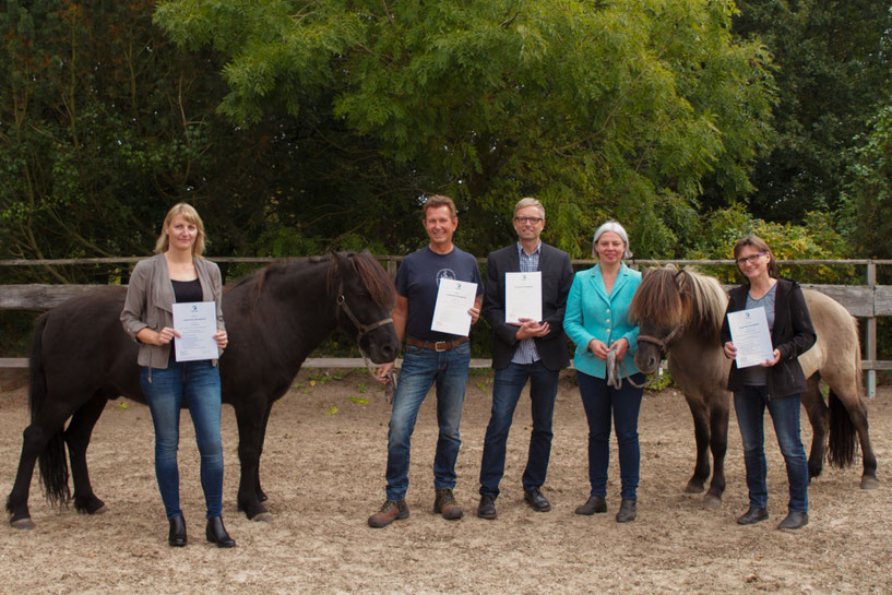 Ausbildung-Coaching-Pferde-Hamburg