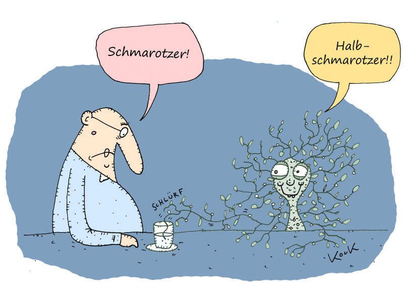 Mistel trinkt aus dem Glas von einem Mann. Cartoon Oliver Kock Greenfluencer