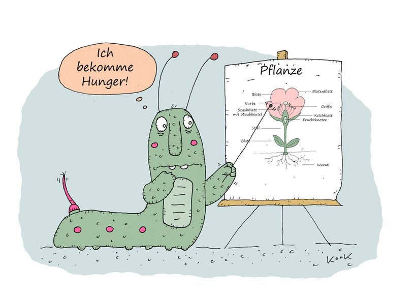 Raupe doziert vor Schaubild über den Aufbau einer Pflanze und bekommt Hunger. Cartoon Oliver Kock Greenfluencer
