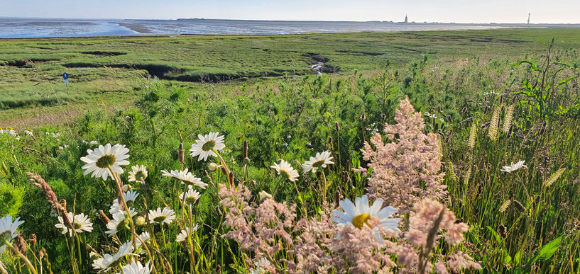 Wangerooge Juni 2021 / Yoga und Meer 