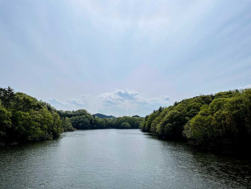 【四緑木星】最も運気が強いのは？本命星・月命星・傾斜宮の組合せは？