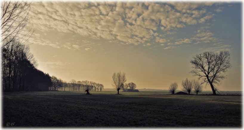 Ein Februarmorgen im Selfkant