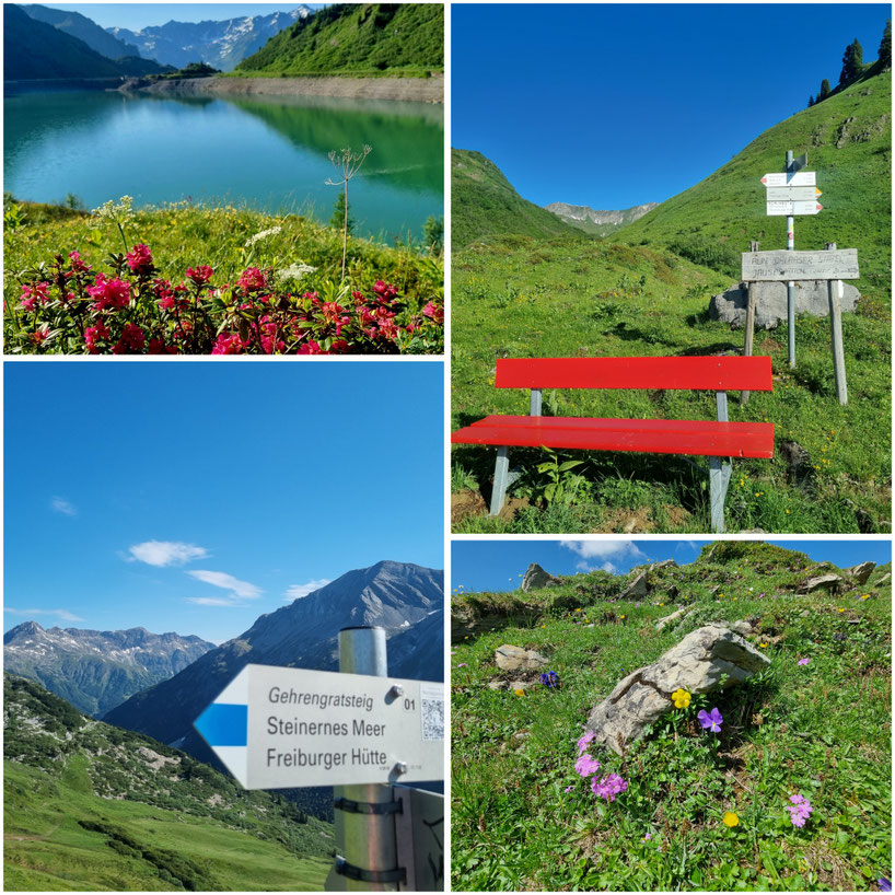 babebi-ontour.com, Hatschn&Haxln, durch ganz Österreich, Vorarlberg, Spullersee, Formarinsee, Freiburger Hütte, Lechweg, Gehrengratsteig, Steinbock Kolonien, Rote Wand, Riesen Bärenklau, Weitwandern, Wandern in Vorarlberg