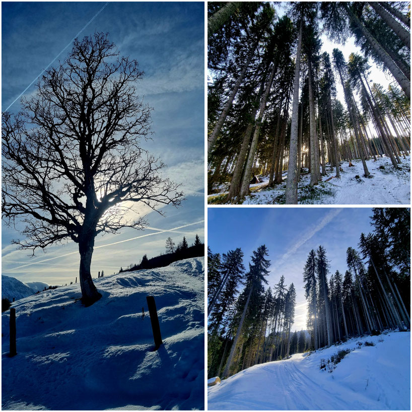  babebi-ontour.com, Hatschn&Haxln, durch ganz Österreich, Kleinarl, Skitour, Winterwanderung, Rodeln, Salzburger Land, 