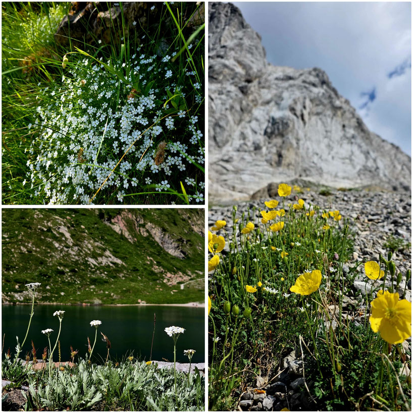 babebi-ontour.com, Hatschn&Haxln, durch ganz Österreich, Wolayersee, Hohe Warte, Karnischer Höhenweg, Kötschach Mauthern, Wanderung Kärnten, Bergsee