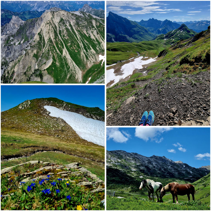 babebi-ontour.com, Hatschn&Haxln, durch ganz Österreich, Vorarlberg, Spullersee, Formarinsee, Freiburger Hütte, Lechweg, Gehrengratsteig, Steinbock Kolonien, Rote Wand, Riesen Bärenklau, Weitwandern, Wandern in Vorarlberg