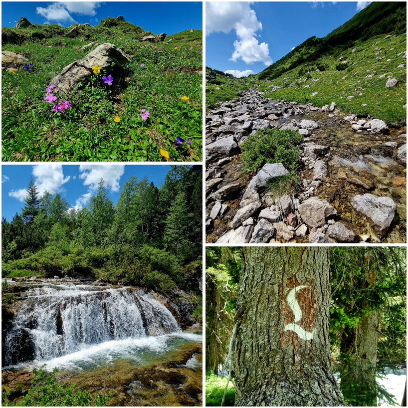 babebi-ontour.com, Hatschn&Haxln, durch ganz Österreich, Vorarlberg, Spullersee, Formarinsee, Freiburger Hütte, Lechweg, Gehrengratsteig, Steinbock Kolonien, Rote Wand, Riesen Bärenklau, Weitwandern, Wandern in Vorarlberg