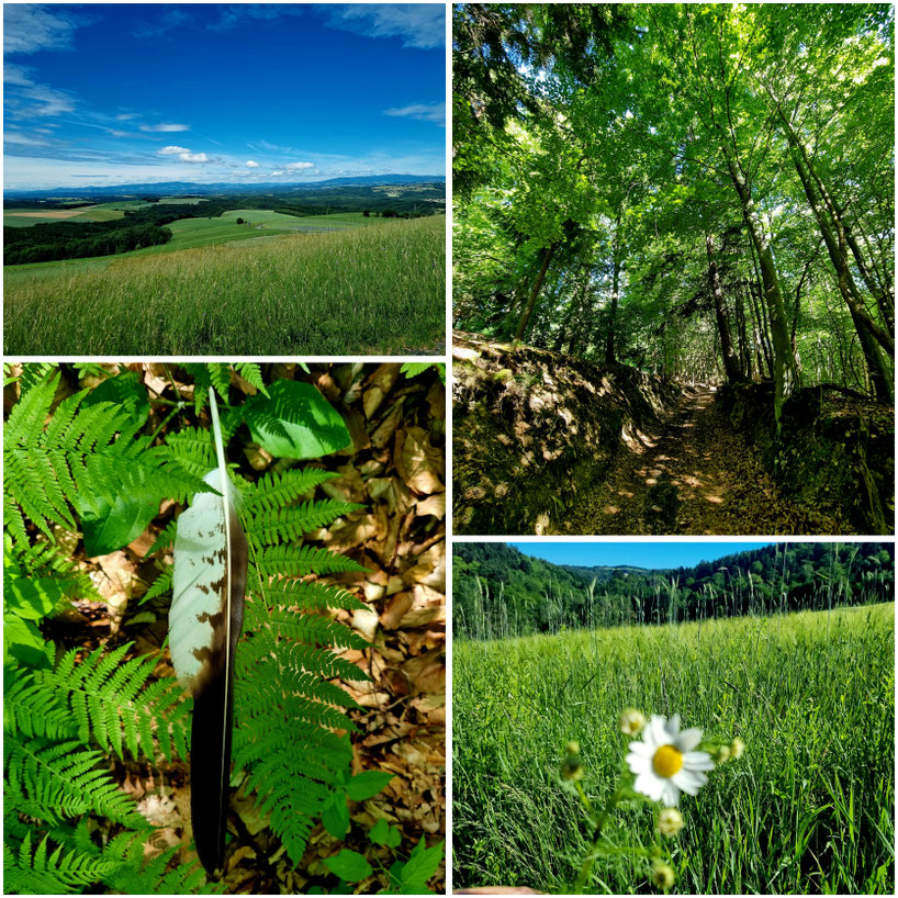 babebi-ontour.com, Hatschn&Haxln, durch ganz Österreich, Alpenonia Weitwanderweg, Weitwandern, einfache Weitwanderung, Fischbach, Köszeg, Österreich, Ungarn, Hutwisch, Aussichtsturm, Bad Tatzmannsdorf, Bernstein, Geschriebenstein Paß