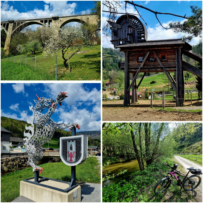  babebi-ontour.com, Hatschn&Haxln, durch ganz Österreich, Steiermark, Apfelland, Apfelblüte, Goldfasan, Weizklamm, Weiz, Feistritz, Feistritzklamm, Stubenberg am See, Puch bei Weiz