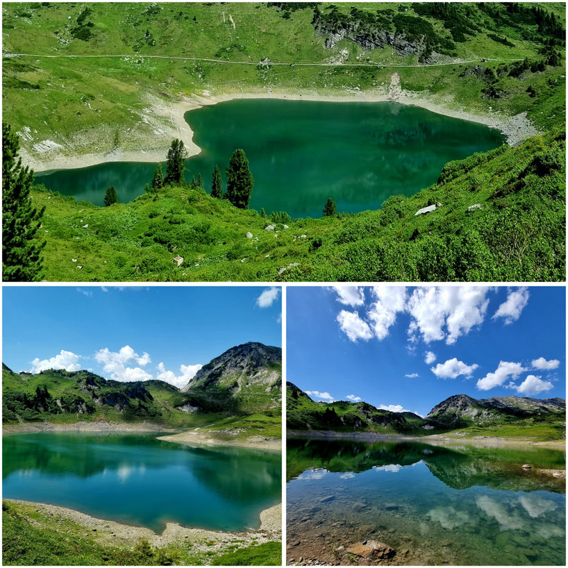 babebi-ontour.com, Hatschn&Haxln, durch ganz Österreich, Vorarlberg, Spullersee, Formarinsee, Freiburger Hütte, Lechweg, Gehrengratsteig, Steinbock Kolonien, Rote Wand, Riesen Bärenklau, Weitwandern, Wandern in Vorarlberg