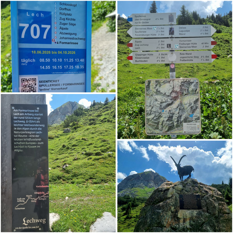 babebi-ontour.com, Hatschn&Haxln, durch ganz Österreich, Vorarlberg, Spullersee, Formarinsee, Freiburger Hütte, Lechweg, Gehrengratsteig, Steinbock Kolonien, Rote Wand, Riesen Bärenklau, Weitwandern, Wandern in Vorarlberg