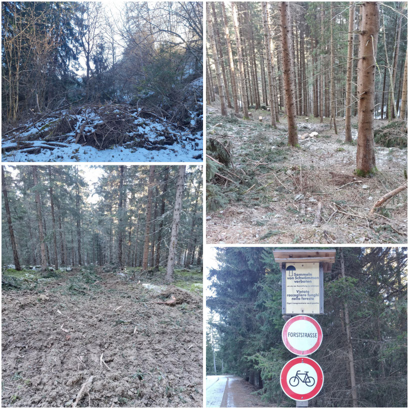babebi-ontour.com, Hatschn&Haxln, durch ganz Österreich, Kärnten, Friesach, Burgenstadt,