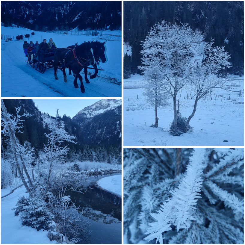  babebi-ontour.com, Hatschn&Haxln, durch ganz Österreich, Großarltal, Bergadvent, stimmungsvoller Christkindlmarkt, Winterwandern, Pferdeschlitten Fahrt, Tradition
