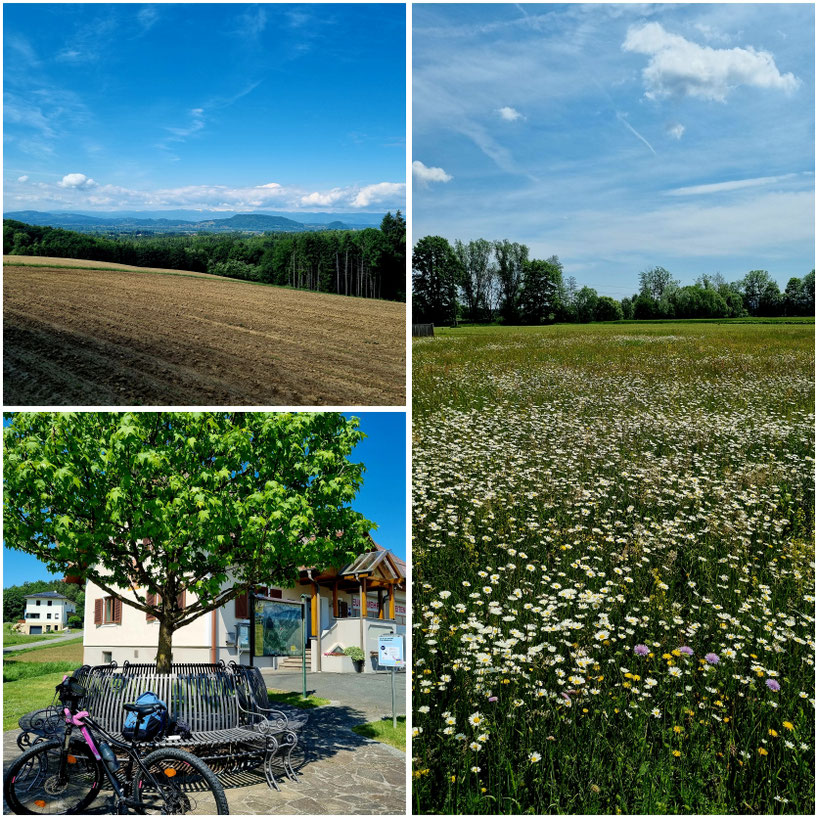 babebi-ontour.com, Hatschn&Haxln, durch ganz Österreich, Graz, Steiermark, Radtour, Weinland, Südsteiermark, Bad Radkersburg,