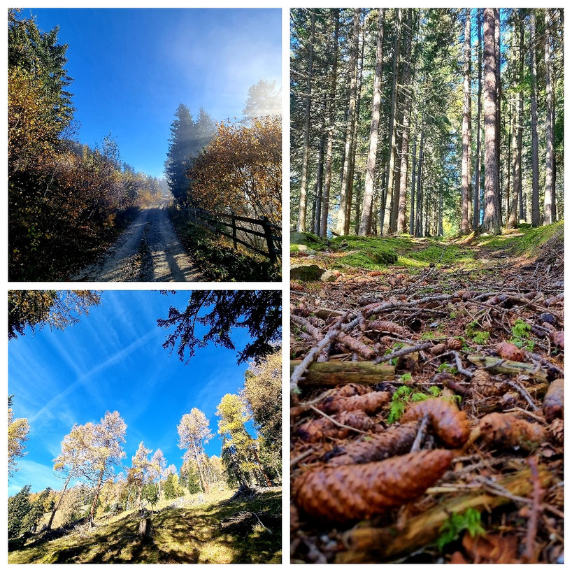 babebi-ontour.com, Hatschn & Haxln, durch ganz Österreich, Lungau, Speiereck, Herbsttag, Wanderung, Halterhütte, Sankt Michael im Lungau, Mauterndorf, Herbstwanderung, Gipfelsieg, Panorama