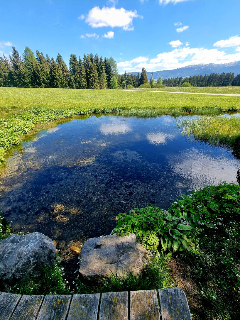 babebi-ontour.com, Hatschn&Haxln, durch ganz Österreich, Via Natura, Weitwanderweg, Steiermark, Wandern in der Steiermark, Zeutschacher Ursprung, Grebenzen, Zirbitzkogel, Murtalbahn, Neumarkt, St. Lambrecht, Dreiwiesenhütte, Graggerschlucht, Grasluppteic