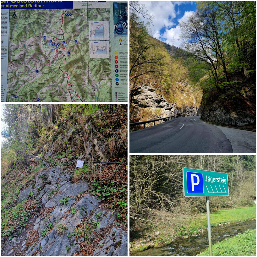  babebi-ontour.com, Hatschn&Haxln, durch ganz Österreich, Steiermark, Apfelland, Apfelblüte, Goldfasan, Weizklamm, Weiz, Feistritz, Feistritzklamm, Stubenberg am See, Puch bei Weiz