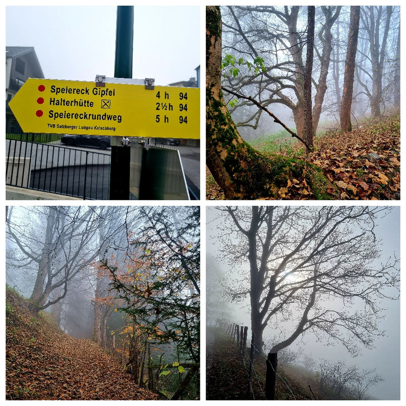 babebi-ontour.com, Hatschn & Haxln, durch ganz Österreich, Lungau, Speiereck, Herbsttag, Wanderung, Halterhütte, Sankt Michael im Lungau, Mauterndorf, Herbstwanderung, Gipfelsieg, Panorama